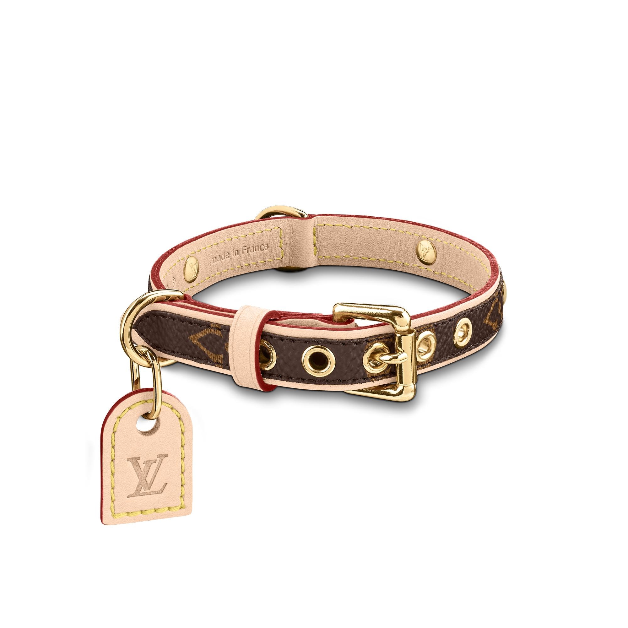 Baxter Dog Collar PM Monogram Canvas in 