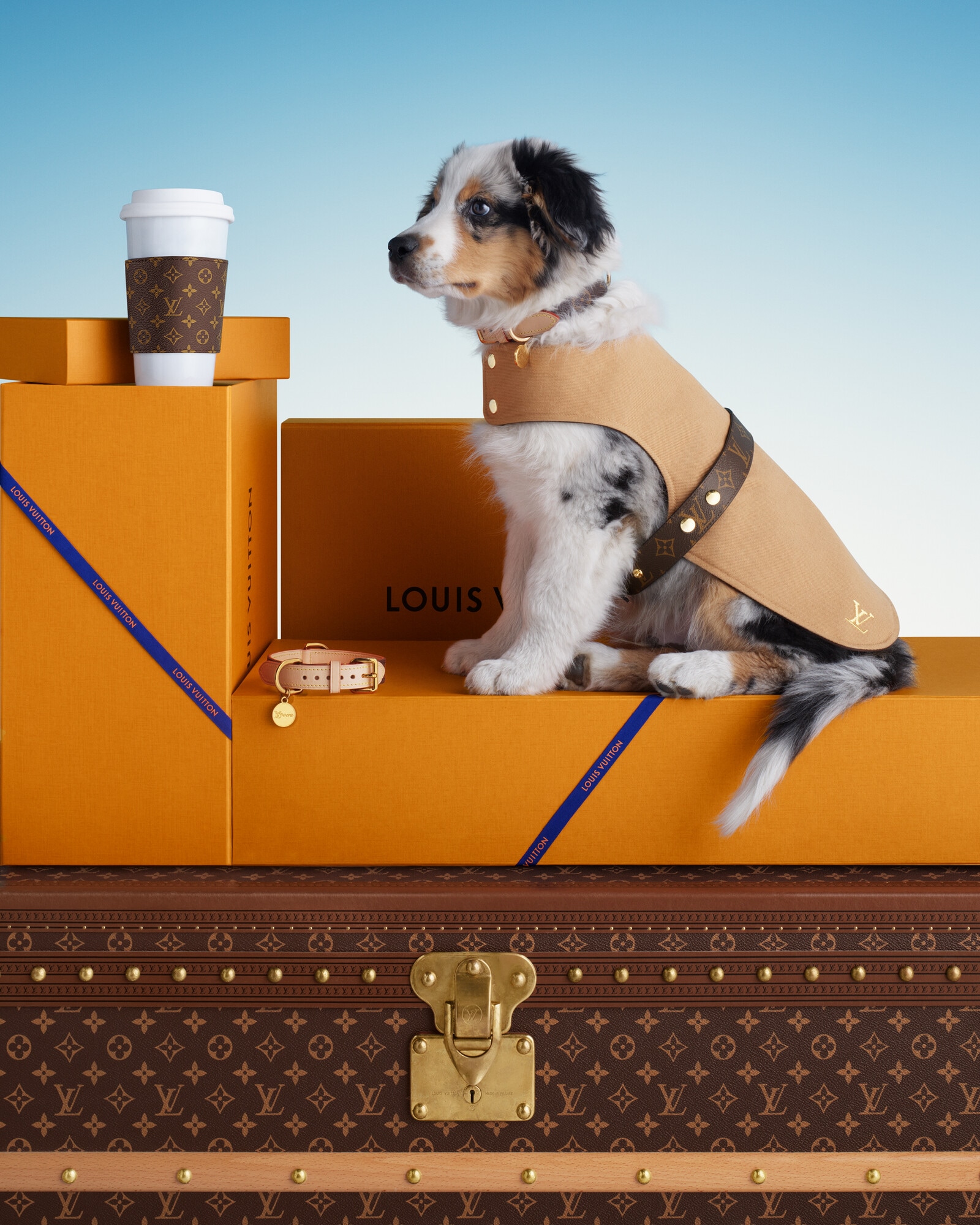 ギフト ペットと過ごす毎日にぴったりのギフト カタログ｜ルイ