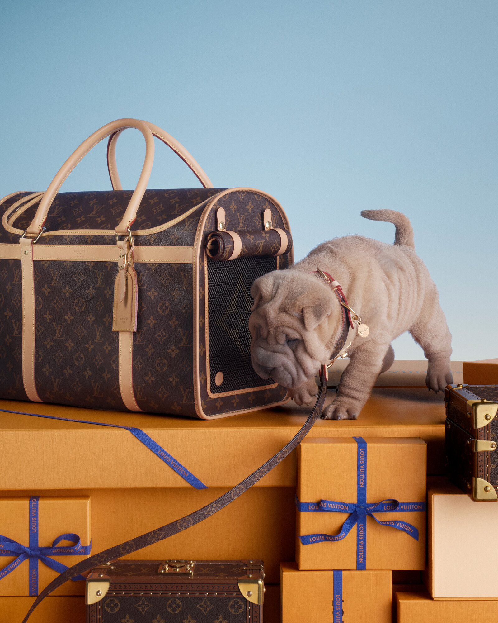 ギフト ペットと過ごす毎日にぴったりのギフト カタログ｜ルイ